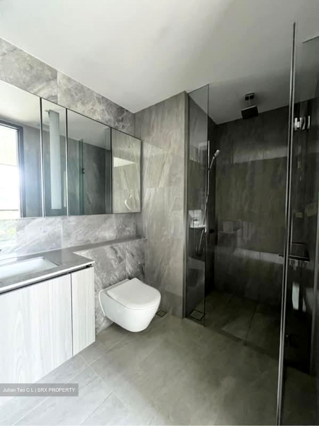 Piccadilly Grand (D8), Apartment #567192461